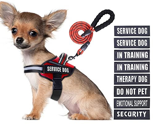 Animire Service Dog Vest Harness and Leash Set, Reflective Dog Leash with Soft Padded Handle for Dogs (Red, S)