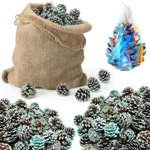 Shappy Tannenzapfen mit Farbwechsel, Kamin und Feuerstelle, farbbrennende Tannenzapfen mit grün-blauer Flamme, für Urlaub, Lagerfeuer, Holzofen, Farbwechsel (1,8 kg in Jutebeutel), 170 Stück