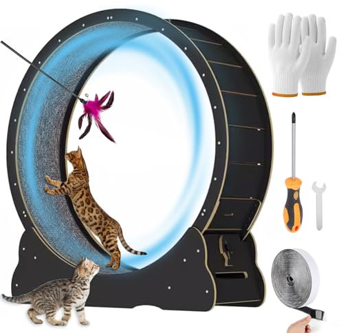 MIWOOYY Großes Katzen-Laufrad 110cm – schwarzes Massivholz-Katzenrad-Trainingsgerät für Indoor-Katzen, Sicherheits-Laufband mit Schloss und minimiertem Lücken-Design