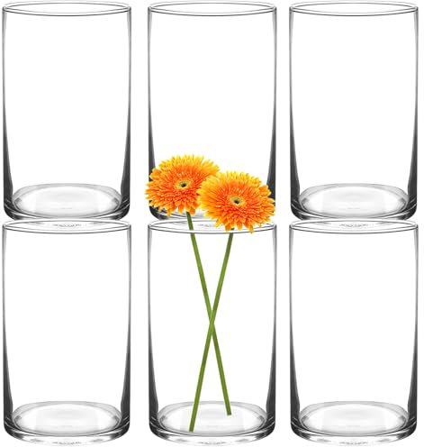 HYCKee 6er Set klare Vasen, 15 x 9 cm zylindrische Glasvase, minimalistische dekorative Vase für Kerzen, Blumen, Muscheln, Perlen, Windlichter Tischdekoration