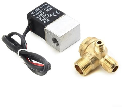 Luftkompressor-Magnetventil Rückschlagventil, DC12-V-Spule, G1/4-Buchse (A)