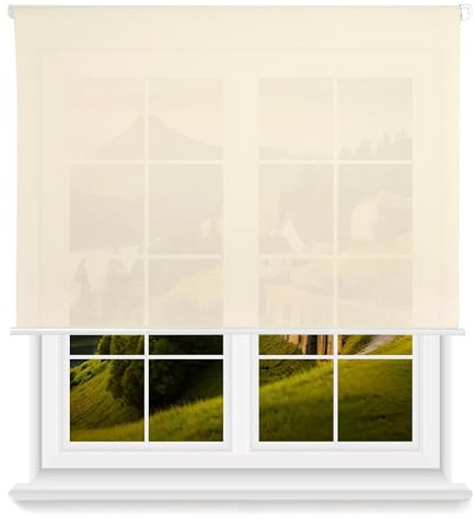 Rollo, lichtdurchlässig, glatt, Beige, 140 x 250 cm (B x L) / Stoffgröße 137 x 245 cm