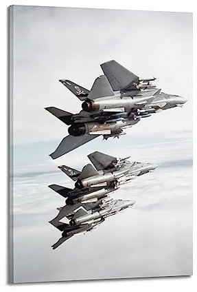 Fighter Poster F-14 Tomcat Fighter Jet Dekorative Malerei Leinwand Wand und Kunst Bild Familie Schlafzimmer Dekor 20 x 30 cm