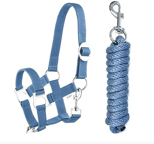 Halfter Führstrick Set mit Karabinerhaken verstellbar Pferdehalfter Pferd Holzpferd Anbindestrick (Karabinerhaken Blau, Mini Shetty)