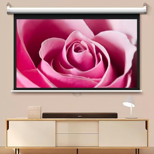 4:3/16:9 Projector Screen，60 72Portable Projector Movie Screen，Pull Down Manual Projector Screen,Portable Lightweight Hanging，For Meeting School Home Cinema Theater Movie TV DVD Indoor(D16:9,72 inch