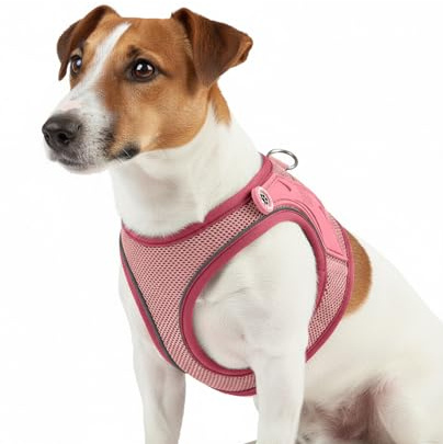 Max & Molly Hundegeschirr Matrix 2.0 Rose/S als Air Vest Geschirr, Step-In Geschirr mit Gotcha! Smart ID, Außenseite aus leichtem Air Mesh Material - Komfort für deinen treuen Begleiter
