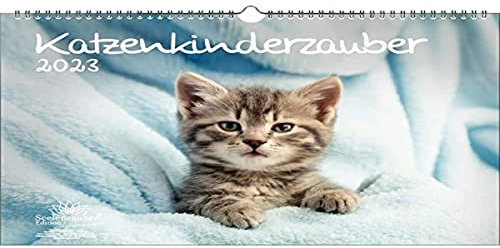 Katzenkinderzauber DIN A3 Kalender für 2023 Katzenkinder Katzenbabys - Seelenzauber, mehrfarbig, KN2023-3W-0008-D-0
