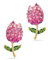 PERIMADE Vergoldete Kristall-Ohrstecker, Tulpen-Ohrstecker, Zirkonia, Blume, Statement-Ohrring-Set für Damen, 925er Sterlingsilber, hypoallergen, Schmuck, Geburtstag, Freundschaft, Geschenk, Mutter,