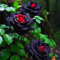 Rosen Rhizom,Rosenzwiebel,Rosen,Winterhart MehrjäHrig,Winterhart,Topfpflanzen,Rosen Pflanzen-1zwiebeln-V