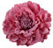 ZUMUii Butterme Mujeres Chicas Peony Flower Hair Clip Horquilla Adorno para El Pelo para La Fiesta de Bodas En La Playa(Rosa Viejo)