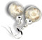 MadamLili - Echte Pusteblumen Ohrringe - 925 Sterling Silber - Löwenzahn Samen Ohrhänger Naturschmuck - Hängend - Verschluss mit Ohrstopper - Handgefertigt - Exklusive Schmuckbox