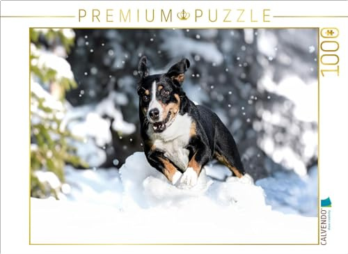 Puzzle · Appenzeller Power | Schneefreuden · 1000 Teile · Lege-Größe 64 × 48 cm · CALVENDO Puzzle