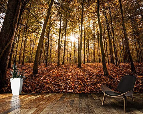 3D Selbstklebende Leinwandtapete Großes Wandbild Fototapete Wald Bäume Sonnenschein Landschaft Poster-Tapete, Dekoratives Wandbild, Heimdekoration Für Teenager-Schlafsaa 140 (Breite) x 70 (Höhe) cm