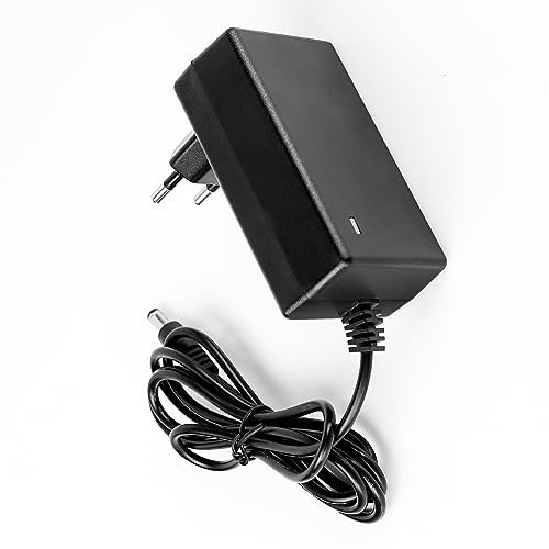Mini Chainsaw Charger, Suitable for 6C8S & 8C85 Chainsaw, 21V 1A
