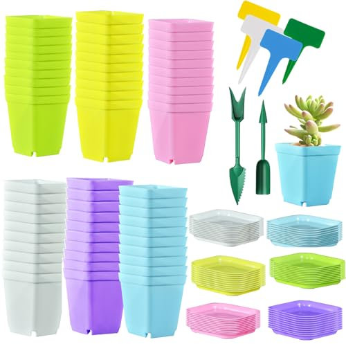 URCHUZE 60Pcs Square Plant Pots, 7cm Thicken Plastic Flower Pots Succulent Planter Nursery Pots with Pallet,Plastic Colorful Flower Pot for Garden Office and Balcony Decor, Multi-Color