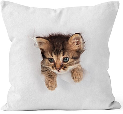 MoonWorks Kissen-Bezug mit süßem Katzen-Aufdruck Katzen Baby schaut aus dem Kissen weiß Unisize
