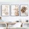 RAILONCH 3er Moderne Poster Set Stilvolle Pfingstrose Blumen Wandbilder Boho Beige Natur Pampasgras Bilder Ohne Rahmen Kunstposter Home Deko (30 x 40 cm)