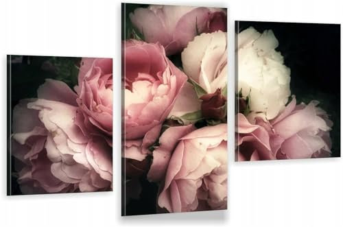HUBDECO 3-Teiliges Leinwand Bild Wohnzimmer - Bilder, Poster, Kunstdrucke - Leinwandbild - Bild auf Leinwand - Tolle Zimmerdekoration - Schlafzimmer Bilder - 94x60 cm - Pfingstrose