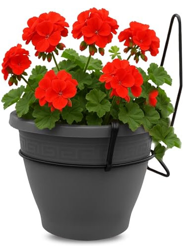 TECHZOCO Macetero con Soporte de Pared, Maceta Redonda plástico, Tiesto Colgar Flores, Fabricado en Polipropileno, Recipiente Pared para Flores, 25 cm diámetro x 14 cm Base x 19.5 cm Alto, Antracita