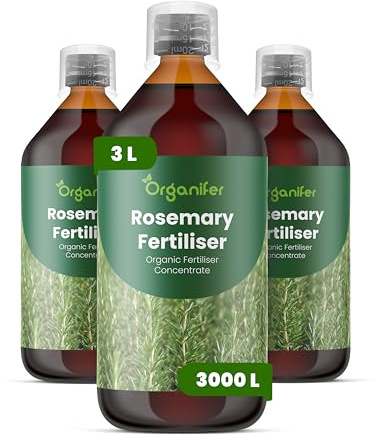 Flüssigdünger Für Rosmarin - 3x1L - NPK 2-1-8 | Dünger Für Kräftiges Wachstum Und Aromatische Blätter - Fördert Wurzeln Und Widerstandskraft - Organifer