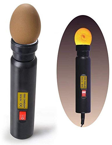 Schierlampe Ei Candler Zucht Ei Fruchtbarkeitsprüfer, leuchtkräftige LED kühles Licht, zum Beobachtung der Inkubation von Eiern, EU-Steck