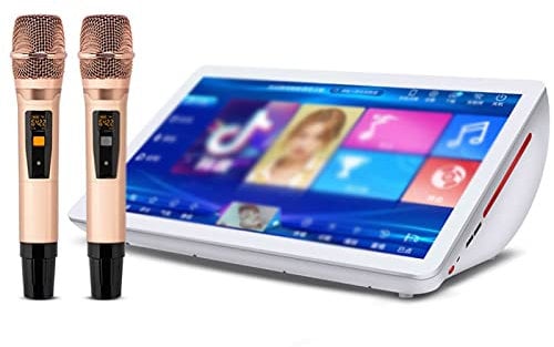 Karaoke Machine, 19.5in Desktop KTV Player with Reverb Wireless Microphone, Capacitive Touch Screen Karaoke System, Support multiple languages for Home Party KTV Bar