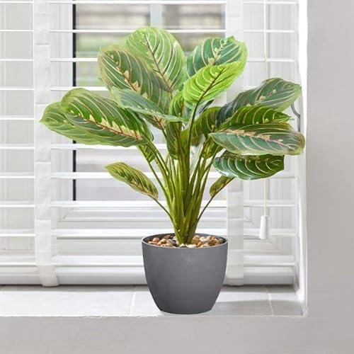 Marco Paul Artificial House Plant Indoor Japanese Tree in Pot Potted Plant for Home Office Faux Foliage Home Decoration Realistic Tree in Grey Pot Maintenance Free House Plants