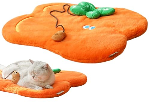 Katzenbett Matten Schlafplatz Orange Bodenmatte | Waschbare Katzenbox Schlafkorb Für Wohnung Wohnzimmer Küche Zuhause Tägliche Erholung Indoor Entspannung