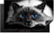KitchenYeah© Protege Plaque Tapis Pour Induction 90x52 cm Deco Cuisine Protection Vitrocéramique Pour Cuisiniere Chat - Yeux - Gris - Bleu
