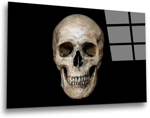 INDIGOS UG Luxus Glasbild - Totenkopf - 100x50 cm - ESG Echtglas bedruckt - Glasdruck - Wohnzimmer, Küche, Schlafzimmer, Badezimmer - Geschenk - Deko, Wandbild
