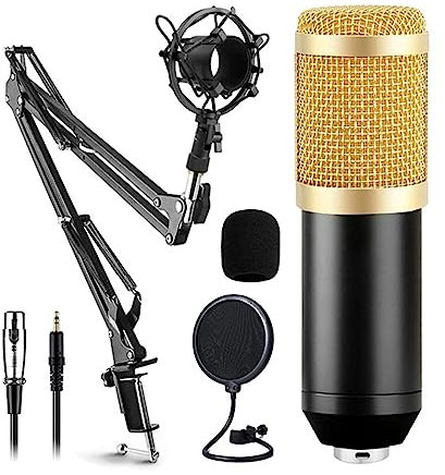 RUHEN Kit de Micro-Carte Son avec Carte Son Live, Bras de Suspension, Support Antichoc et Filtre Anti-Pop pour Enregistrement en Studio