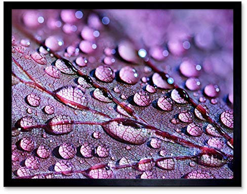 Water Droplets Leaf Macro Art Print Framed Poster Wall Decor Kunstdruck Poster Wand-Dekor-12X16 Zoll