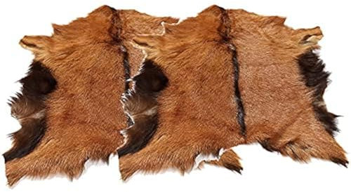 2 Stück echtes Ziegenleder verstecken Pelzpelte Ziegenhaut Leder Ziegenleder Heimdekoration Design Jagd Ornament Boden Wand Ausstellungsdisplay für DIY Kleidung Schaffell Pelz Teppich Exotic (ca.