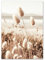 ABCWARRT Herbst Strand Wiese Landschaft Wandkunst Leinwand Malerei Nordic Reed Poster Heu Malerei Mädchen Dorf Poster Für Wohnkultur (30 * 40cm Kein Rahmen,3)
