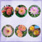 2 pcs dahlien knollen mischung, dahlien zwiebeln, blumenzwiebeln mehrjährig winterhart blumen pflanzen dahlia dalienknollen winterhart pflanzen geschenk frühlingsblumen zwiebeln gartenpflanzen