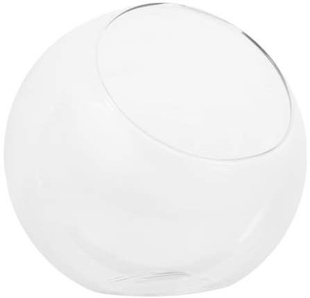 Elegante terrario in vetro con bocca inclinata per piante grasse e piante aeree, display con micro paesaggio, 15 cm, vaso decorativo per pesci per casa e ufficio