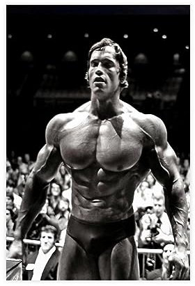 EMIGOS Arnold Schwarzenegger Poster, Leinwand, Poster, Wandkunst, Dekordruck, Bild, Gemälde für Wohnzimmer, Schlafzimmer, Dekoration, ungerahmt, 30 x 45 cm