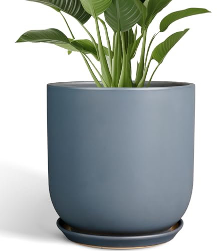 SUNPOTFOR Pots pour plantes 30,5 cm – Grand pot de fleurs en céramique pour intérieur et extérieur avec trou de drainage et soucoupe – Gris