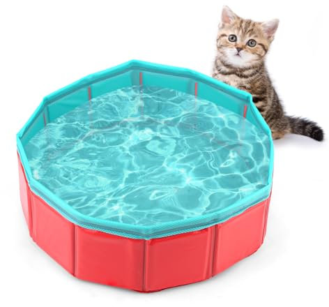 Tinoaly Juguete de Piscina para Gatos, 30 x 10 cm Piscina Plegable Mascotas Juguete Interactivo Mascotas Regalo Diversión Sin Fin para Interiores y Exteriores (Juguetes de Peces no Incluidos)