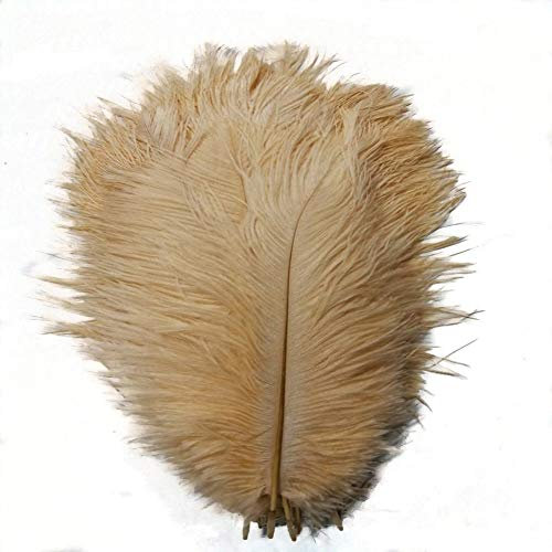 KOLIGHT Set of 10pcs 35~40cm Natural Ostrich Feathers for DIY Home Wedding Party Office Decoration (Champagne)