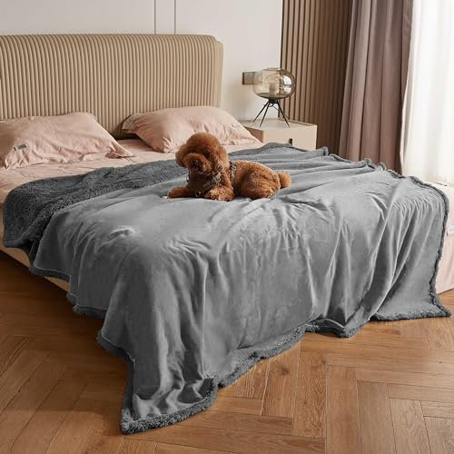 Pawsee Wasserdicht Hundedecke Katzendecken Waschbar, wasserdichte Decke für Große Hunde Sofaschutz Couch Überwurf, Flauschig Wasserdicht Liebesdecke für Schutzdecke Tagesdecke, XL 203 x 229cm
