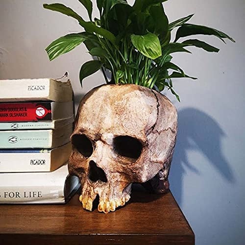 Skull Planter Pot, Halloween Planter, Skull Flower Pot, Halloween Vase, Gothic Flower Pots, Skull Decor, Skull Wall Planter for Home Décor, Succulent Pots for Halloween Decorations (A)