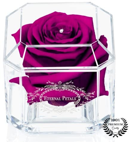 A 100% Real Rose That Lasts Years - Eternal Petals, Handmade in UK – White Gold Solo with A Clear Crystal (Plum)