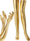 SATINIOR Damen Karneval Halloween Kostüm Elastisch Spandex Glänzend Nass Lange Handschuhe und Oberschenkel Hohe Strümpfe, Gold, Einheitsgröße