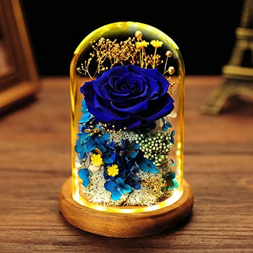 Eternal Rose Konservierte Blumen im Glas mit LED-Licht Beauty and The Beast Rose for Mothers Day Woman Wife Mom (Farbe : C) (A)