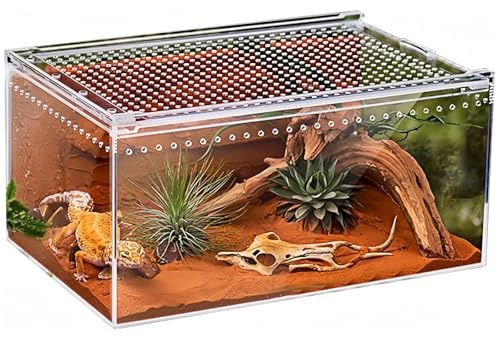 Reptilien Terrarium Box Magnetisches Acryl heimchenbox Terrarium stapelbares Reptil Fütterungsbox für Spinnen Skorpion Käfer Gehörnter Frosch