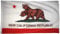 Time Roaming Flagge der Republik New California Republik, Polyester, mit Messingösen, 90 x 150 cm