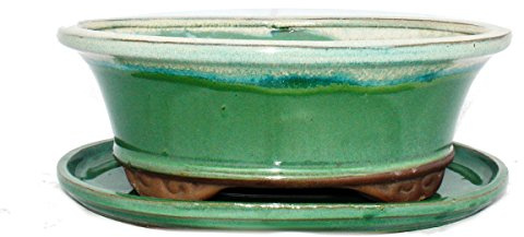 exotenherz Bonsai-Schale mit Unterteller Gr. 4 - grün/beige - oval - Modell O4 - L 26cm - B 21cm - H 7,5cm