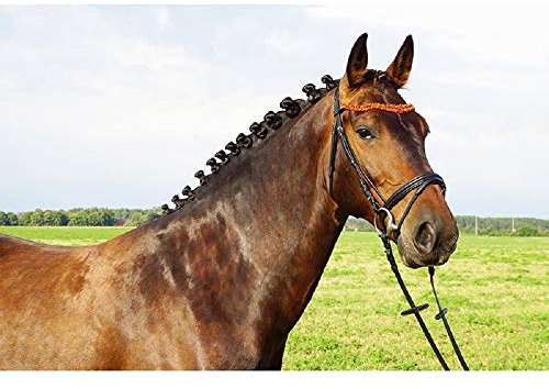 Imperial Riding Kombinierte Leder Trense Bernstein Duo schwarz (Shetty)