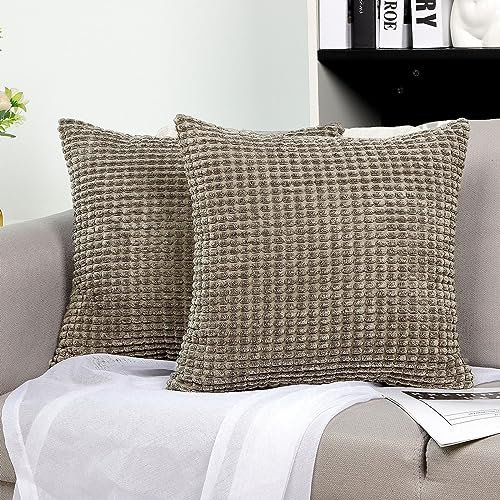 TAN.TOMI Kissenbezug Kord Uni 2er Set, Kissenhülle Kissenbezüge für Zierkissen Dekokissen Sofakissen Couchkissen in vielen Farben(Hellgrau,60x60CM)